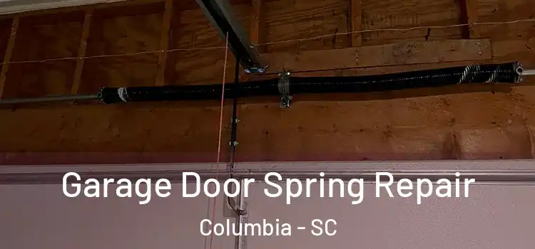  Garage Door Spring Repair Columbia - SC