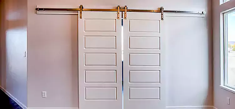 Glass Barn Door with Installation Hardware Kit Columbia